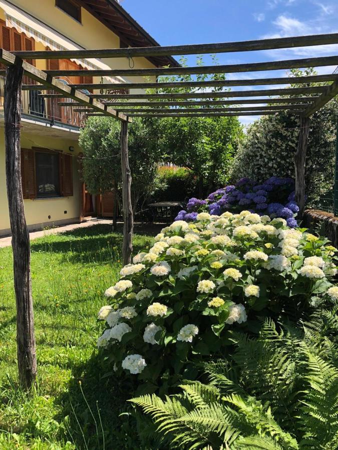 דירות קוליקו The Children Smile- With Private Garden מראה חיצוני תמונה